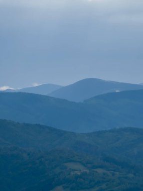 Dağların ve ormanın güzel manzarası