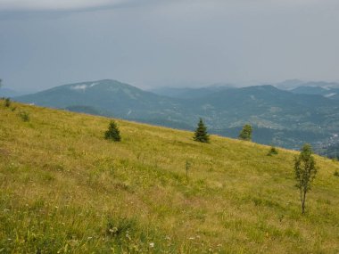 Güneşli bir yaz gününde dağların güzel manzarası. yüksek kaliteli fotoğraf