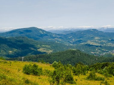 Karpat Dağlarının yaz manzarası