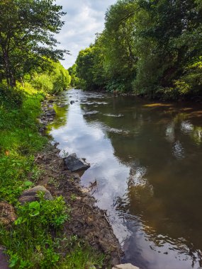 Ormanda güzel bir şelale