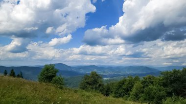 Arkasında yeşil bir orman olan güzel dağ manzarası