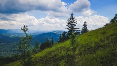 Karpat Dağları 'ndaki güzel dağ manzarası.