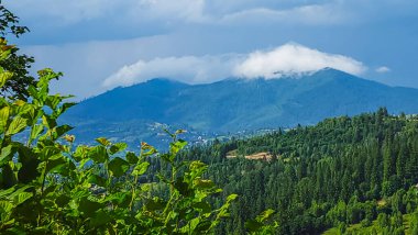 Mavi gökyüzü ile yeşil dağ vadisi