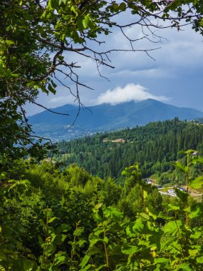 Rigi Dağı 'ndan görüntüle