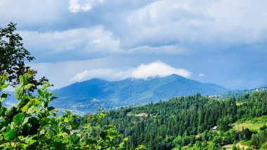 Yaz mevsiminde sıradağların manzarası.