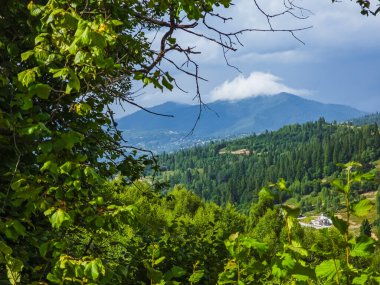 Yazın Ukrayna Karpatları 'nda dağ manzarası