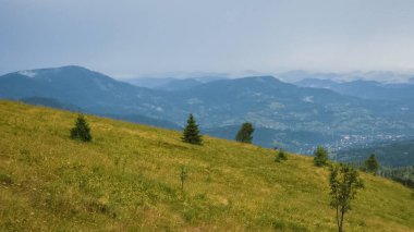 Dağlarda yaz manzarası, Ukrayna.