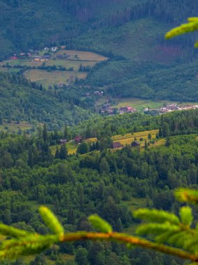 İlkbaharda Ukrayna 'daki Karpatlar' ın güzel bir görüntüsü.