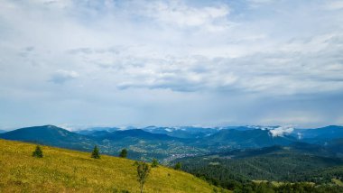 Karpat Dağları 'nda yeşil çayırlar ve çayırlar olan güzel bir yaz manzarası. Karpatya 'da bir sürü ormanı olan güzel doğa manzarası