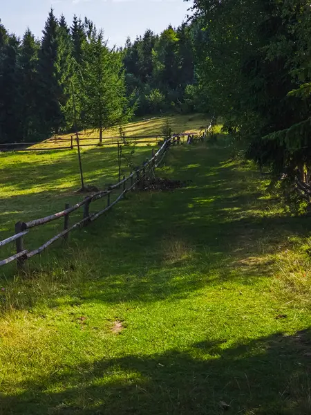 Doğanın güzel manzarası