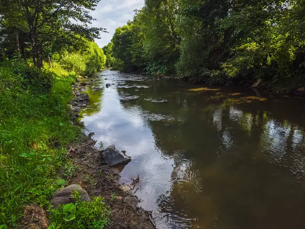 Ormandaki güzel nehir.