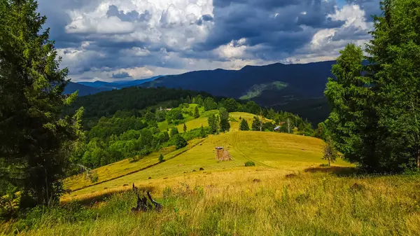 Karpatlar 'da bir dağ olan güzel yaz manzarası.