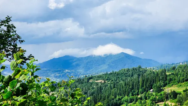 Yaz mevsiminde sıradağların manzarası.