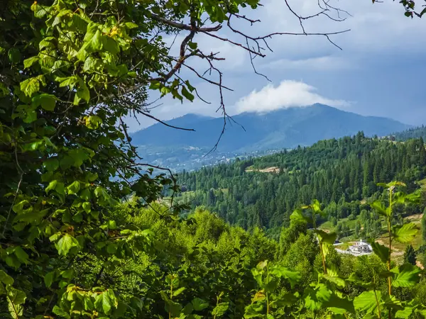 Yazın Ukrayna Karpatları 'nda dağ manzarası