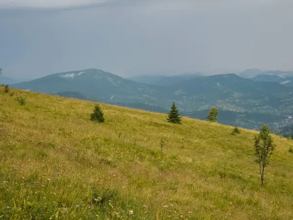 Yaz aylarında Ukraynalı Karpatlar