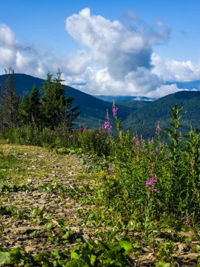 Karpatya dağlarının tepesinden güzel bir manzara.