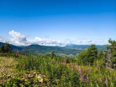 Dağın tepesindeki dağın manzarası. yaz günü.