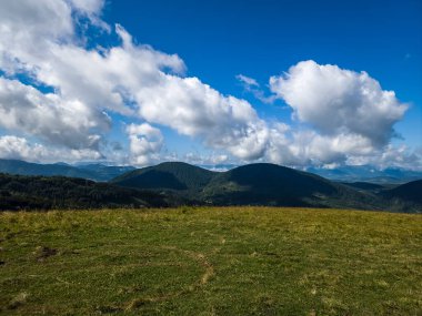 Karpatlar 'daki güzel dağ ormanı