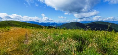 güzel yeşil otlarla kaplı dağ manzarası