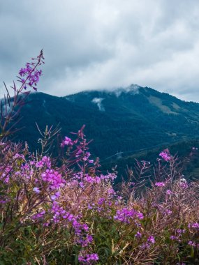Dağlardaki güzel dağ manzarası