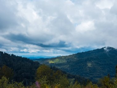 Ukrayna 'daki bir dağda sonbahar manzarası