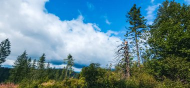 Dağlardaki Karpatlar 'ın güzel manzarası