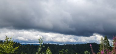 Ormanın üzerinde fırtına bulutları