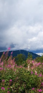 Dağlarda dağları olan güzel bir manzara.