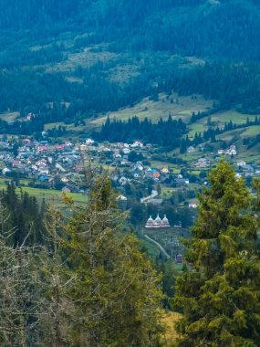 Karpatlar dağları ve ağaçlar