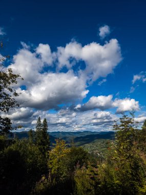 Ağaçlar ve dağlarla dolu güzel sonbahar manzarası