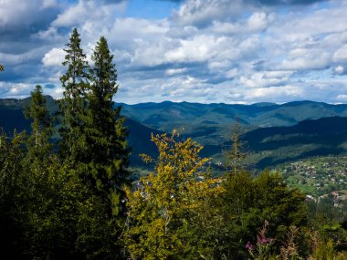 Yaz mevsiminde Karpat Dağları 'nın manzarası. ukraine.
