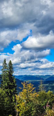 Doğanın güzel manzarası