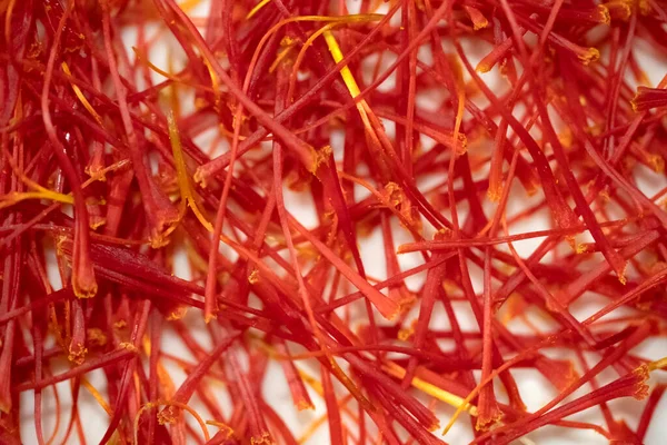 stock image Closeup of Saffron flowers in a field - zafferano