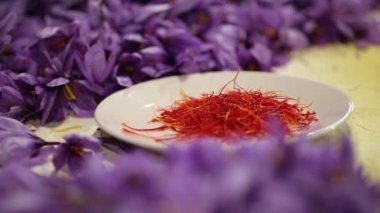 Safran çiçeklerine yakın çekim - zafferano