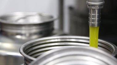 Modern bir İtalyan yağ değirmeninde zeytin temizleme ve yağlama işlemi. Petrol Üretimi. Ekstra taze, saf zeytinyağı.