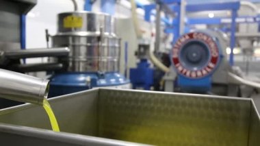 Modern bir İtalyan yağ değirmeninde zeytin temizleme ve yağlama işlemi. Petrol Üretimi. Ekstra taze, saf zeytinyağı.