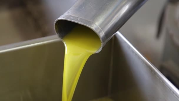 Der Prozess Der Olivenreinigung Und Entlaubung Einer Modernen Italienischen Ölmühle — Stockvideo