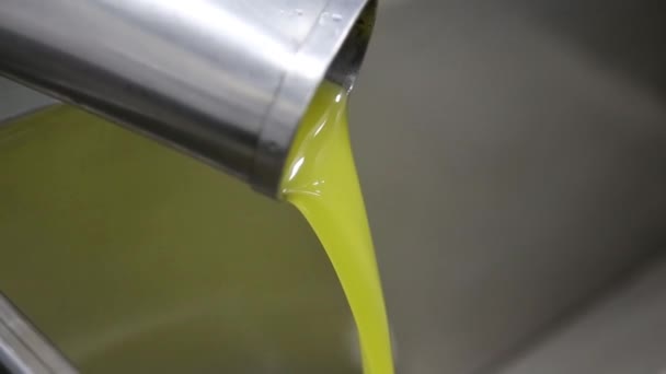 近代的なイタリアの石油工場でオリーブ洗浄と剥離のプロセス 石油生産 新鮮なエキストラバージンオリーブオイル — ストック動画