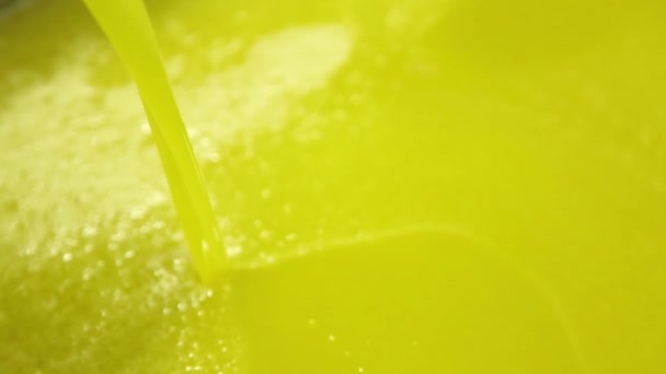 意大利现代油料厂橄榄的清洁和脱叶过程 石油生产 新鲜的额外初榨橄榄油 — 图库视频影像