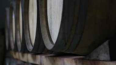 Yeraltındaki şarap mahzeninde meşe fıçıları