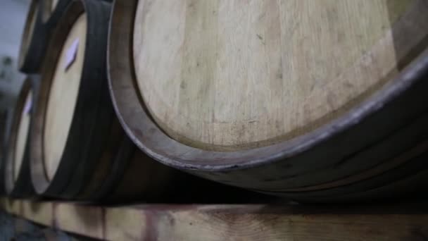 Oak Barrels Underground Wine Cellar — Stock Video