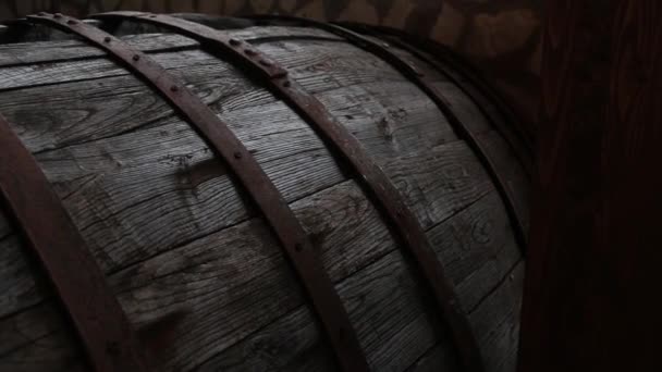 Beczki Dębowe Podziemnej Piwnicy Wino — Wideo stockowe