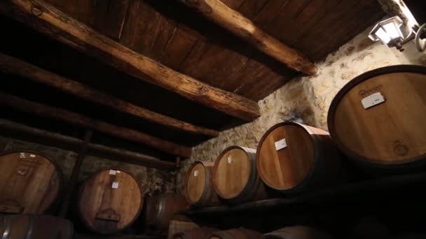 Beczki Dębowe Podziemnej Piwnicy Wino — Wideo stockowe