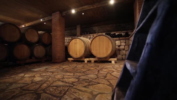 地下酒窖的橡木桶 — 图库视频影像