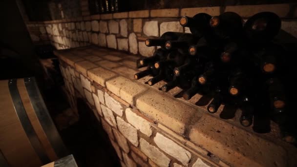 Láhve Vína Uložené Vinném Sklepě Vinařství — Stock video