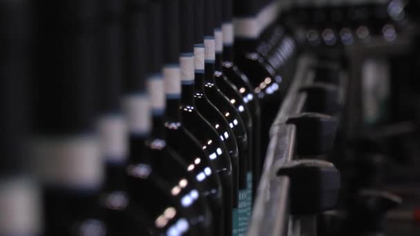 Βιομηχανική Μηχανή Εμφιάλωσης Κρασιού Σύγχρονη Βιομηχανική Γραμμή Παραγωγής Για Εμφιάλωση — Αρχείο Βίντεο