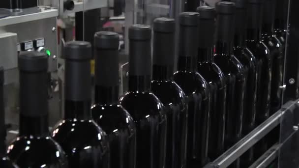 工业葡萄酒装瓶机 现代葡萄酒装瓶包装工业生产线 — 图库视频影像