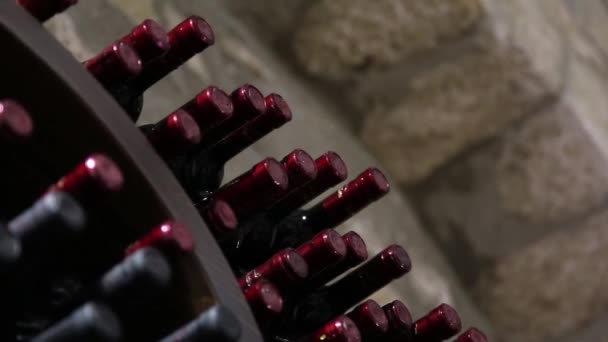 Wine Bottles Stored Wine Cellar Winery — Stock Video