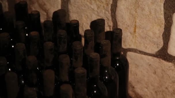 Botellas Vino Almacenadas Una Bodega Una Bodega — Vídeo de stock