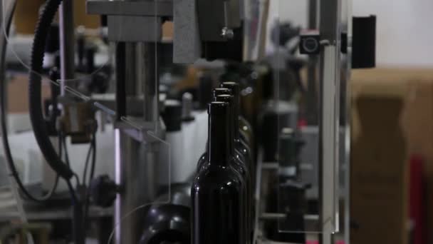 Máquina Industrial Engarrafamento Vinho Linha Produção Moderna Indústria Para Engarrafamento — Vídeo de Stock